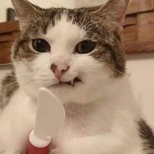 Meet your Posher, Valery